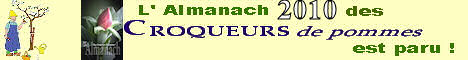 Bannière