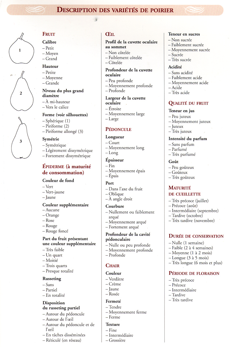 description_varietes_poiriers