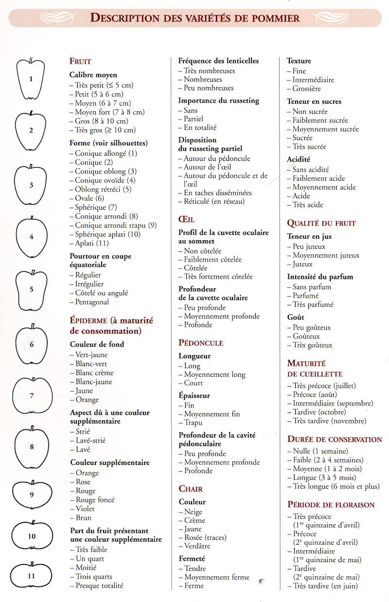 description_varietes_pommiers
